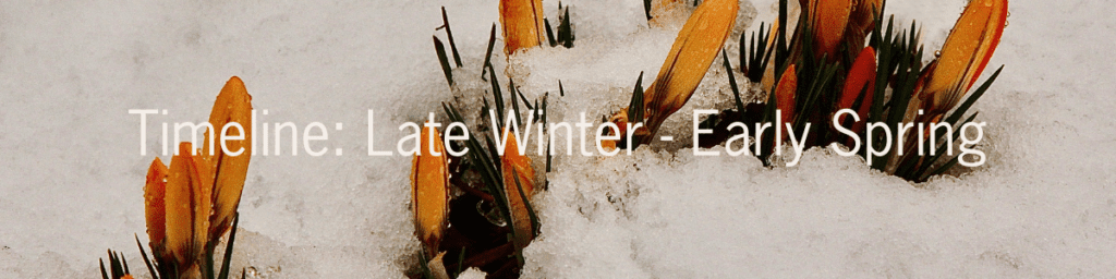 Tips for Success After Year-End Giving Season, timeline- late winter to early spring