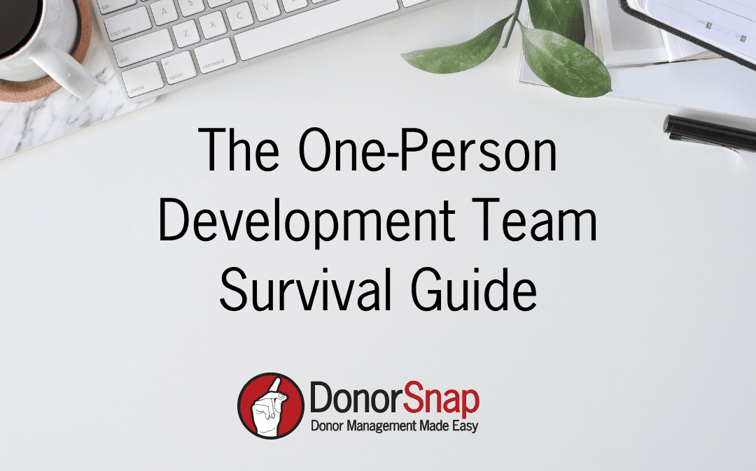 The One-Person Development Team Survival Guide