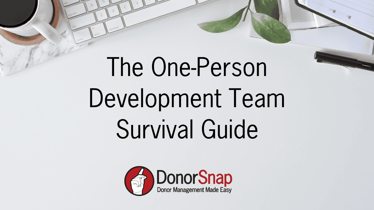 The One-Person Development Team Survival Guide