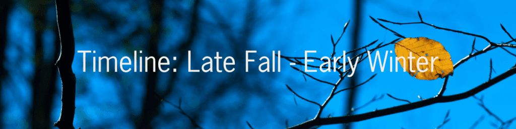 Tips for Success During Year-End Giving Season header, timeline - late fall to early winter