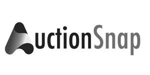 AuctionSnap