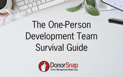 The One-Person Development Team Survival Guide
